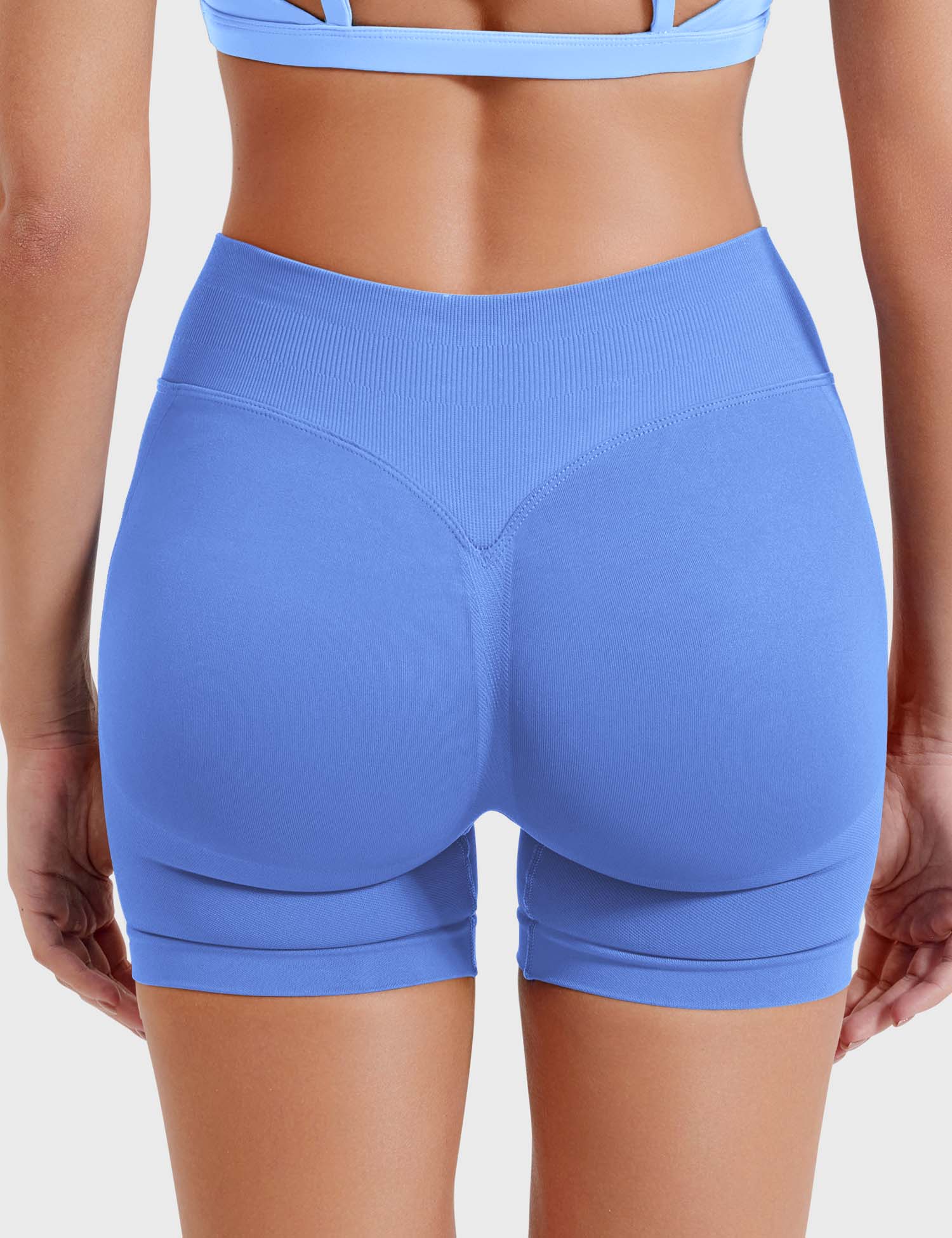 CornflowerBlue